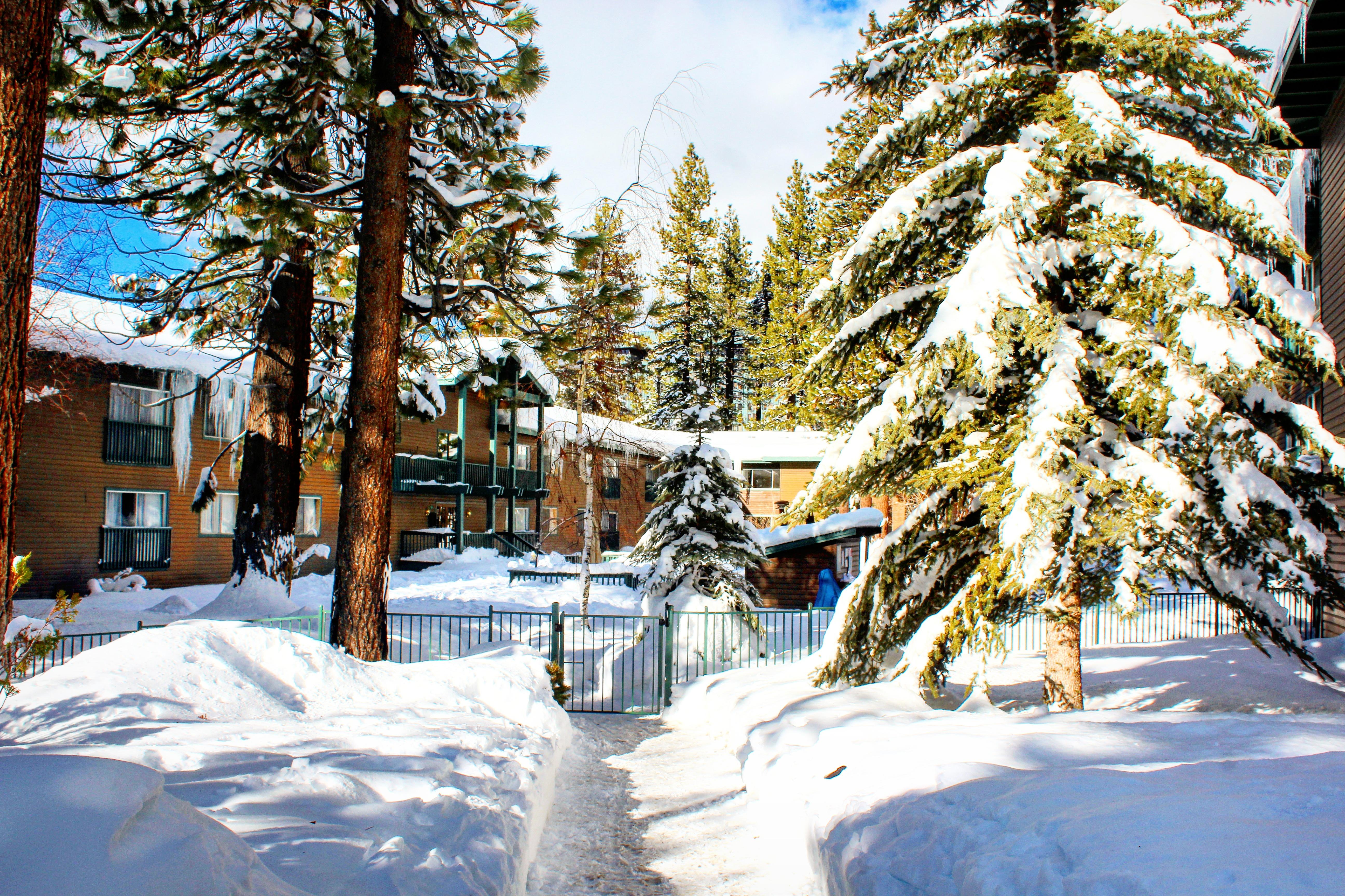 Forest Suites Resort At The Heavenly Village South Lake Tahoe Ngoại thất bức ảnh